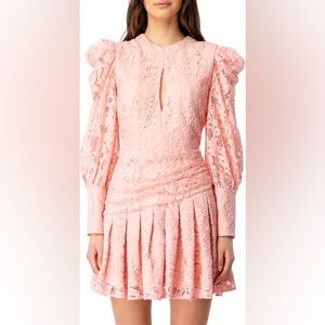 Bardot pink lace dress NTW